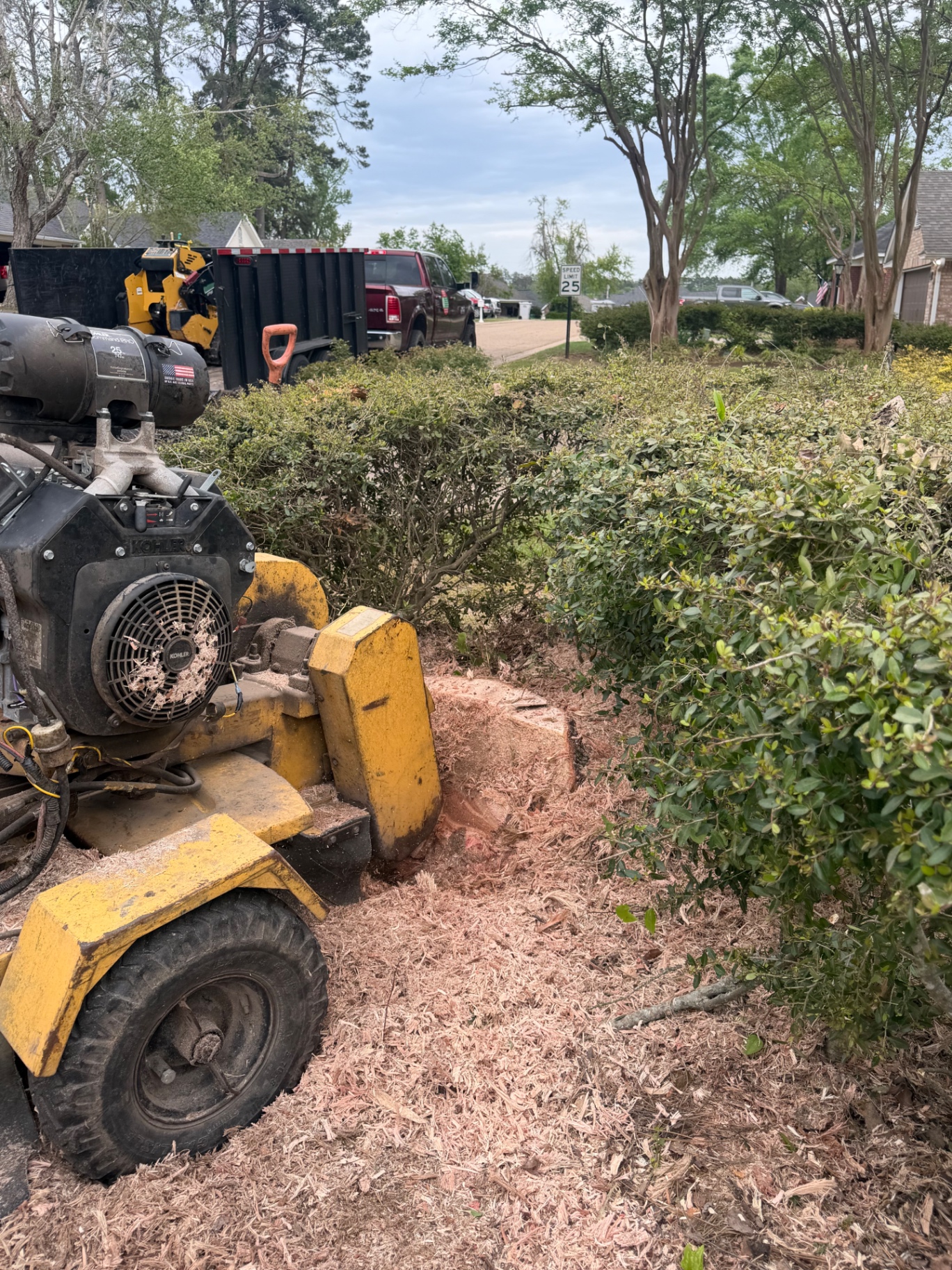 Stump Grinding